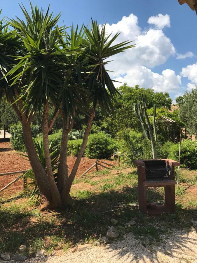 I Giardini Di San Vito Villa San Vito Lo Capo Exterior foto